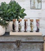 Glasröhre Ø3cm auf Holzbrett - 6 Stk