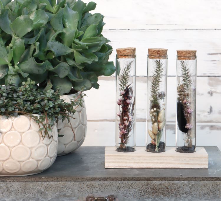 Glasröhre Ø3cm auf Holzbrett - 12 Stk