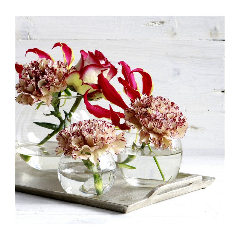 Glaskugeltopf Ø 12 cm, H. 10 cm - 6 Stück