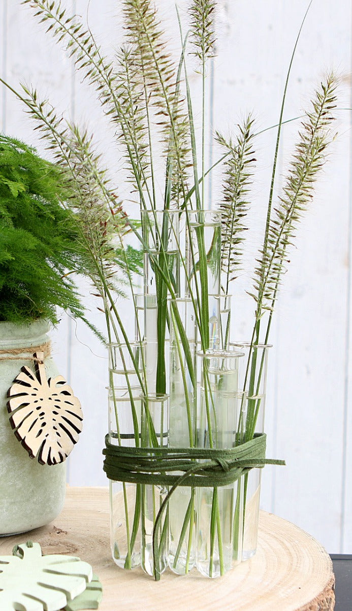 Reagenzgläser 20x125mm mit Ring - 12 Stk