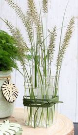 Reagenzgläser 20x125mm mit Ring - 12 Stk