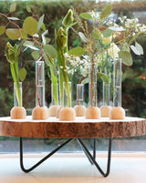 Glas-Testrohr mit Holzbasis 2x15cm - 1 Stk