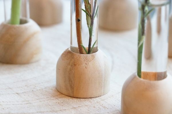 Glas-Testrohr mit Holzbasis 2x10cm - 1 Stk