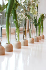 Glas-Testrohr mit Holzbasis 2x15cm - 1 Stk