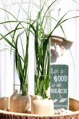 Glas-Testrohr mit Holzbasis 5x28cm - 1 Stk