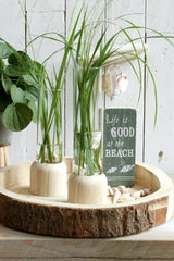 Glas-Testrohr mit Holzbasis 5x28cm - 1 Stk