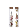 Glass tube with 2 different dried flowers Ø3cm (12 pcs.) [IFS