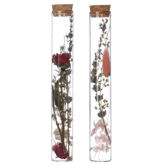 Glass tube with 2 different dried flowers Ø3cm (12 pcs.) [IFS