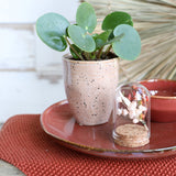 Mini-Stolpersteine aus Glas Ø4cm | H: 6cm | Mit Kork - 6 Stk