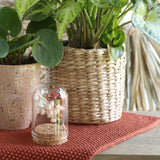 Mini-Stolpersteine aus Glas Ø4cm | H: 6cm | Mit Kork - 6 Stk