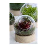 Glaskugelvase mit Holzsockel, Ø 13 cm, H. 14 cm - 1 Stück