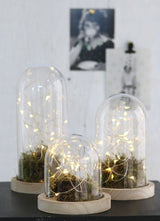 Glaskuppel mit Holzsockel 12x13cm - 1 Stk