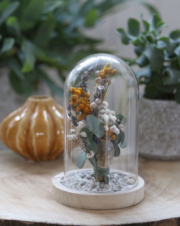 Glaskuppel mit Holzsockel 12x16cm - 1 Stk