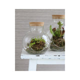 Glaskugel mit Korken, Ø 14 cm, H. 15 cm - 1 Stück