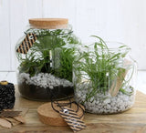 Glasgefäß mit Kork 15x14cm - 1 Stk