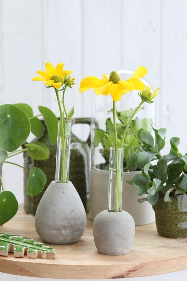 Glas-Testrohr mit Zement-Basis 6x15cm - 1 Stk