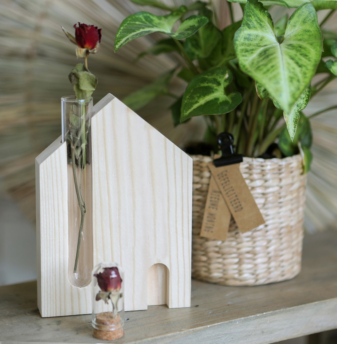 Hausstandard mit Reagenzglas 10x3x14cm - 6 Stk