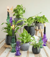 Vase Venedig Grün H: 15,5 x Ø5,7 cm - 12 Stk