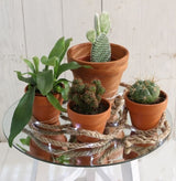 Runde Spiegelplatte Ø30cm mit Schrägkanten - 1 Stk