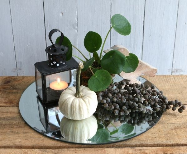 Runde Spiegelplatte Ø30cm mit Schrägkanten - 1 Stk