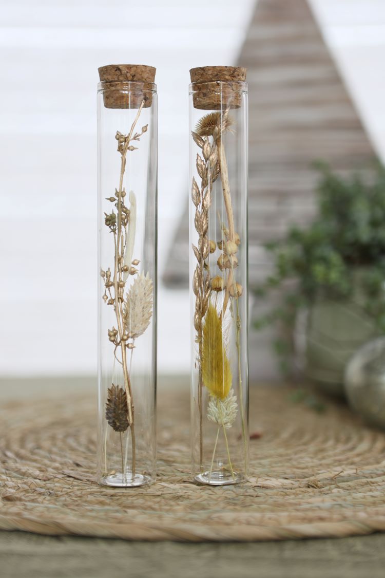 Glasröhre mit Trockenblumen Natur Ø3x20cm - 12 Stk