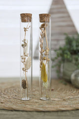 Glasröhre mit Trockenblumen Natur Ø3x20cm - 12 Stk