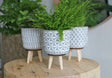 Plant pot Cement with wooden legs 11cm high 
