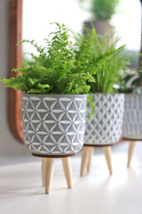 Blumentöpfe Zement mit Holzbeinen | H: 11cm - 6 Stk