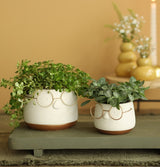 Topf mit Brille Gold Ø8,5 h: 6,5 cm - 6 Stk