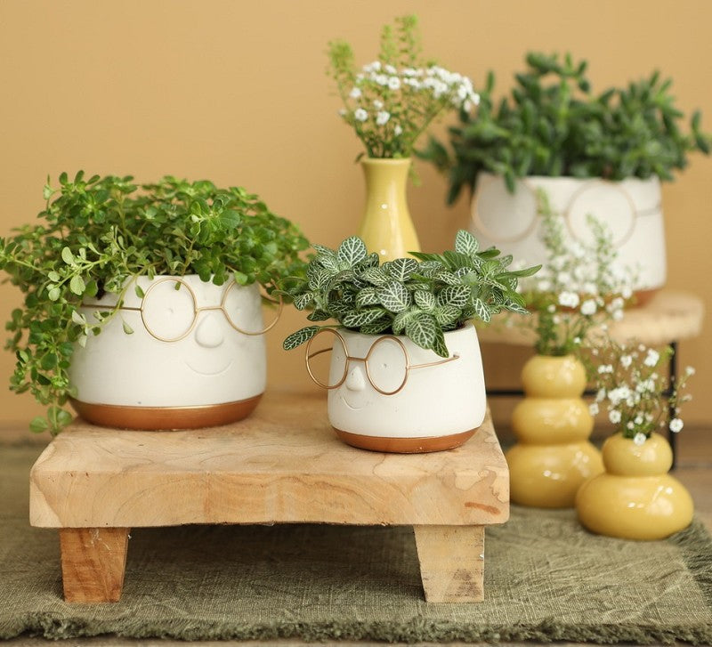 Topf mit Brille Gold Ø12 h: 9 cm - 6 Stk