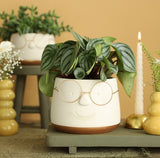 Topf mit Brille Gold Ø13,5 h: 10,5 cm - 6 Stk