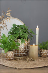 Hanoi Topf Ø10 x h:8,4 cm Gold - 6 Stk