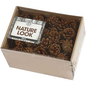 Kiefernzapfen 40mm - 60 Stk