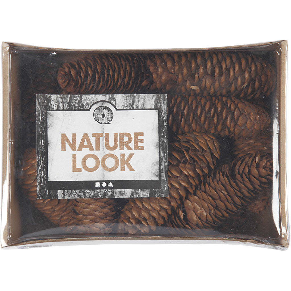 Kiefernzapfen Kegel 40mm - 300 gram