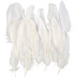 Feathers, approx. 15 cm, white, 70pcs