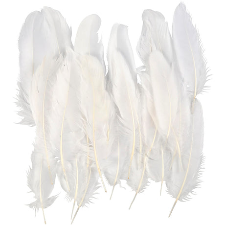 Feathers, approx. 15 cm, white 