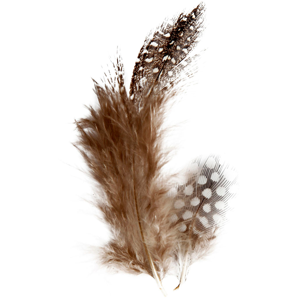 Guinea fowl feathers, brown, 3 gr 