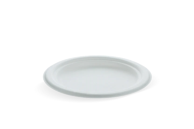 Teller Zuckerrohr Ø175mm - 1.000 Stück