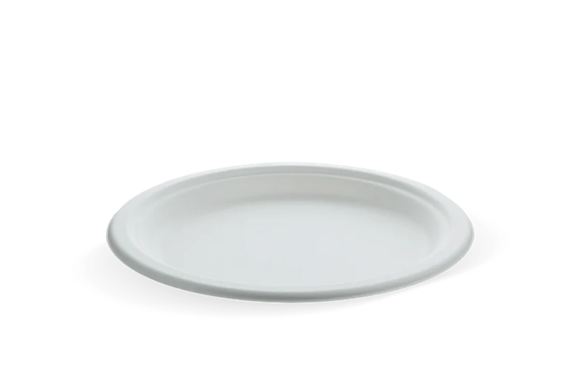 Teller Zuckerrohr Ø225mm - 500 Stück