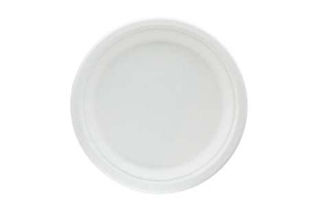 Plate Sugarcane Ø225 mm 