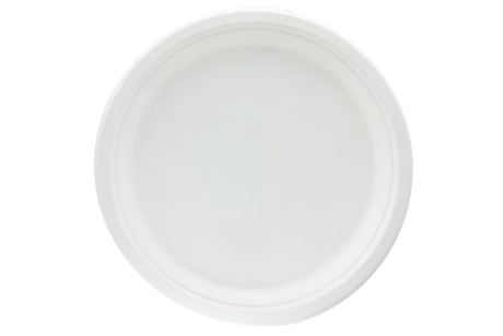 Plate Sugarcane Ø260 mm 