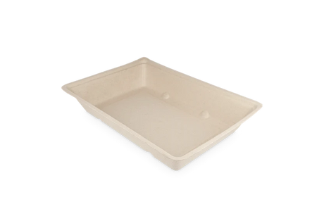 Fries trays A50 Sugarcane 