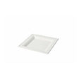 Square Plates Sugar Cane, 16x16 cm (500 pieces) [GB