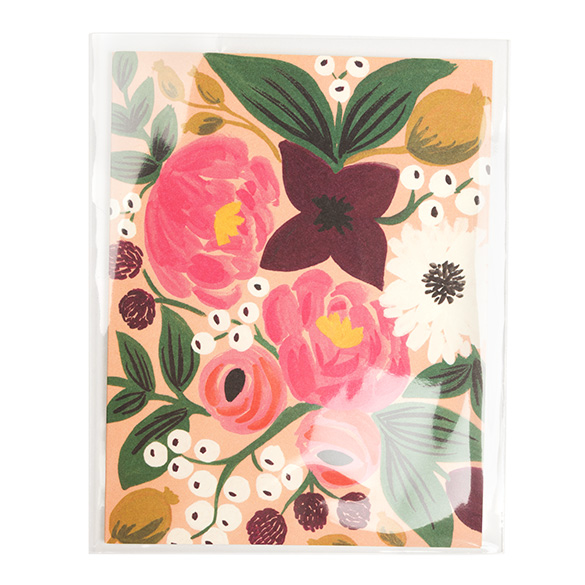 Umweltfreundliche Beutel Bioplastik 115x150mm - 100 Stk