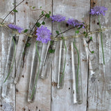 Reagenzgläser 20x200mm mit Ring - 12 Stk