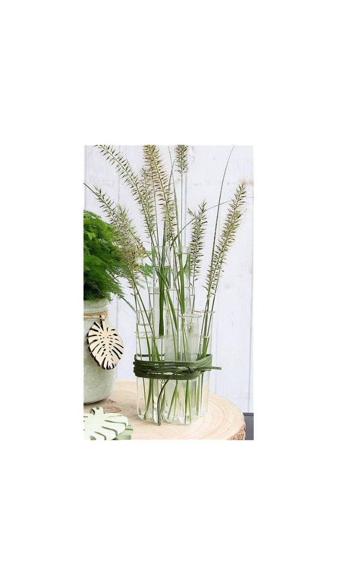 Reagenzgläser 15x100mm mit Ring - 12 Stk