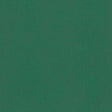 Brown kraft wrapping paper on a roll Uni Green 50cm wide (1 pc.) [FP