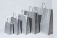 Paper Carry Bags Silver 220+100x310mm 