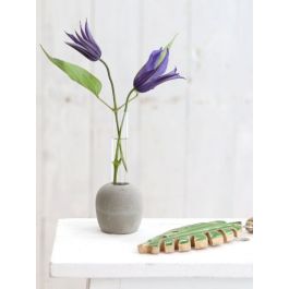 Glas-Testrohr mit Zement-Basis 6x15cm - 1 Stk