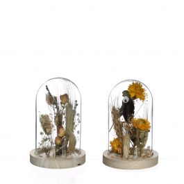 Glasgefäß mit Trockenblumen Natur Ø8cm - 1 Stk